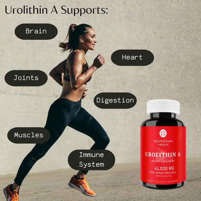 Neurogan Urolithin A – 700mg Cellular Health & Longevity – 60 Ct