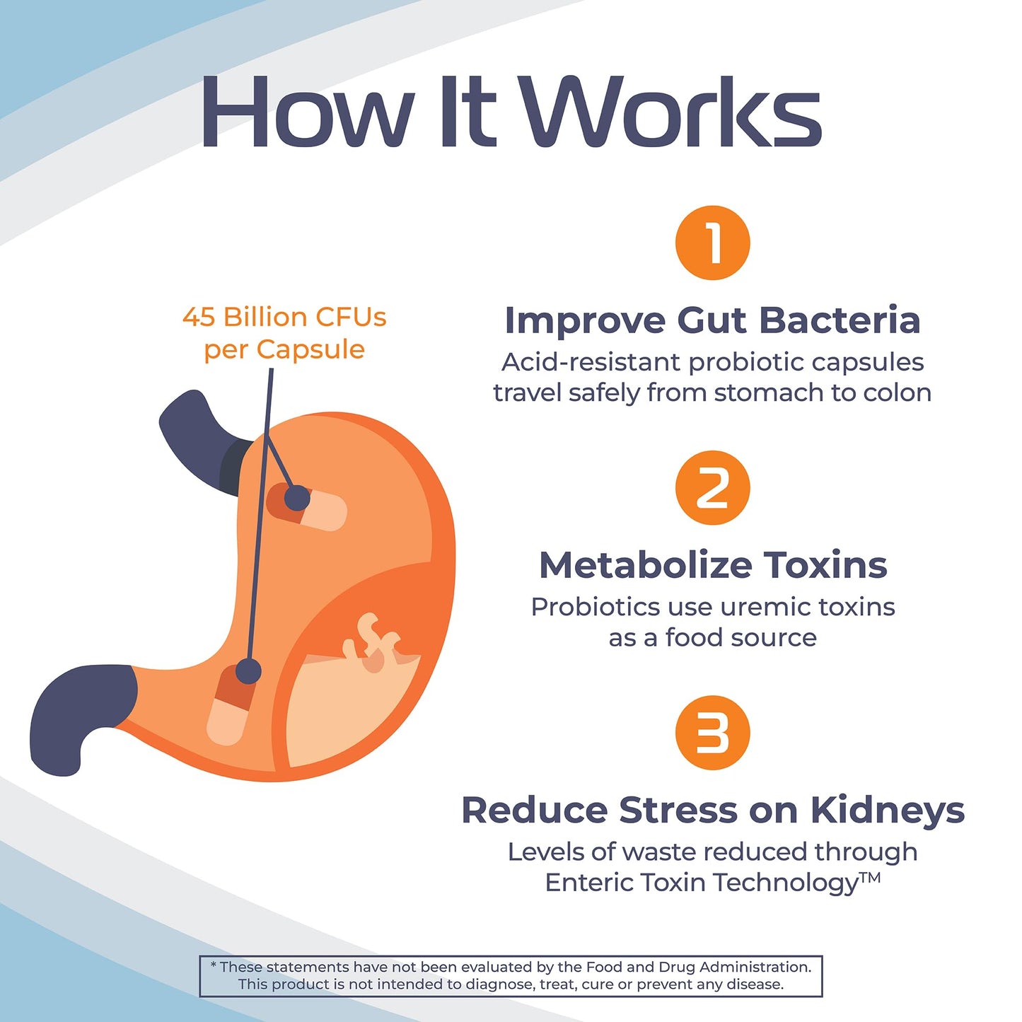 Renadyl Kidney Probiotic – Urea & Uric Acid Support – 180 Capsules