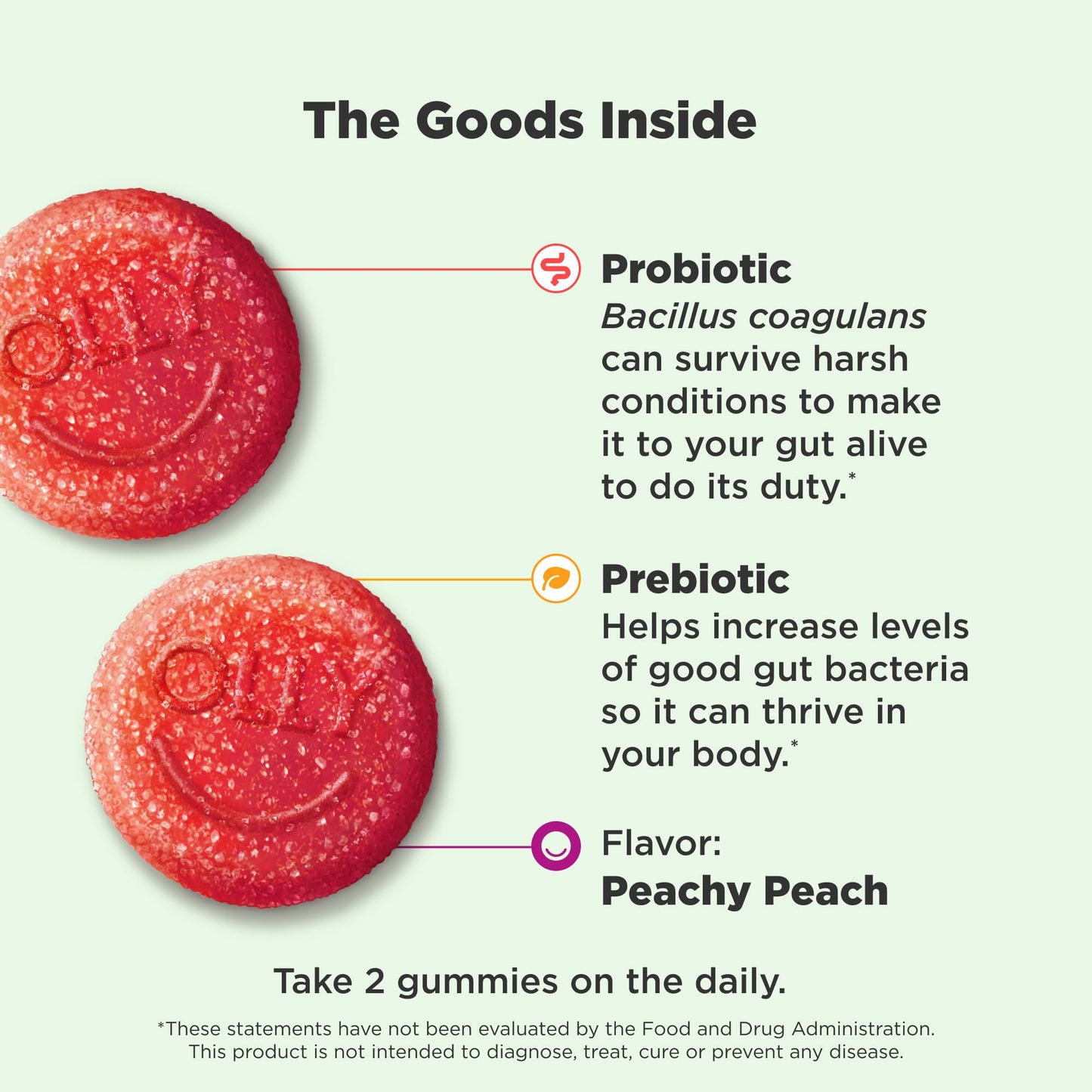 OLLY Probiotic + Prebiotic Gummies – Digestive & Gut Health Support