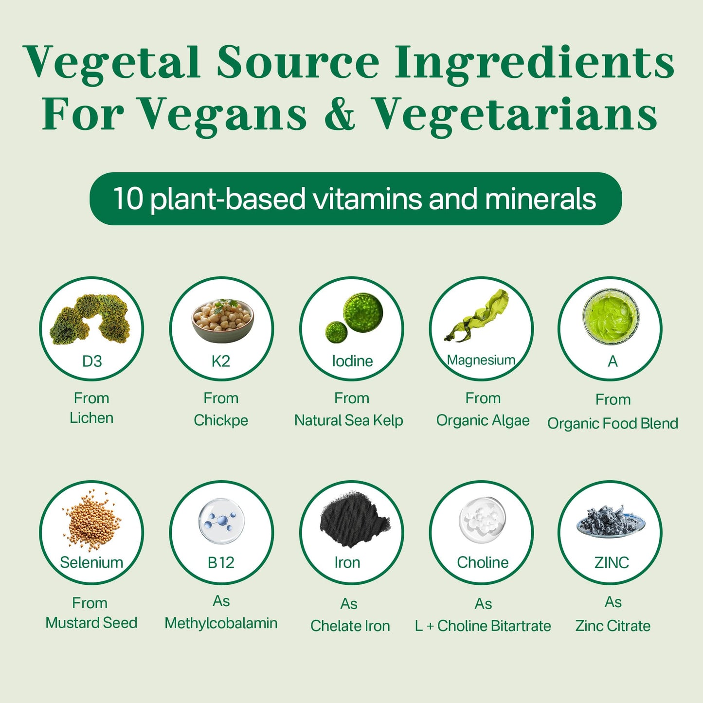 Vegan Multivitamin Gummies – Omega 3, B12, D3, Iron – 60 Count