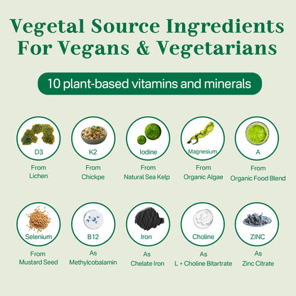 Vegan Multivitamin Gummies – Omega 3, B12, D3, Iron – 60 Count