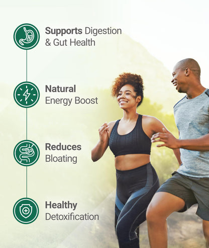 Super Greens Daily Greens Powder – Organic Superfoods & Probiotics, 30 Servings