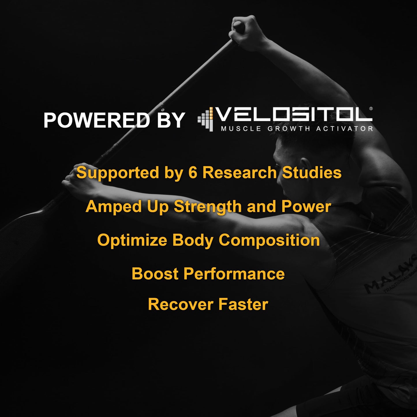 Vegan Sport Protein – Vanilla, 30g Protein, BCAAs & Probiotics
