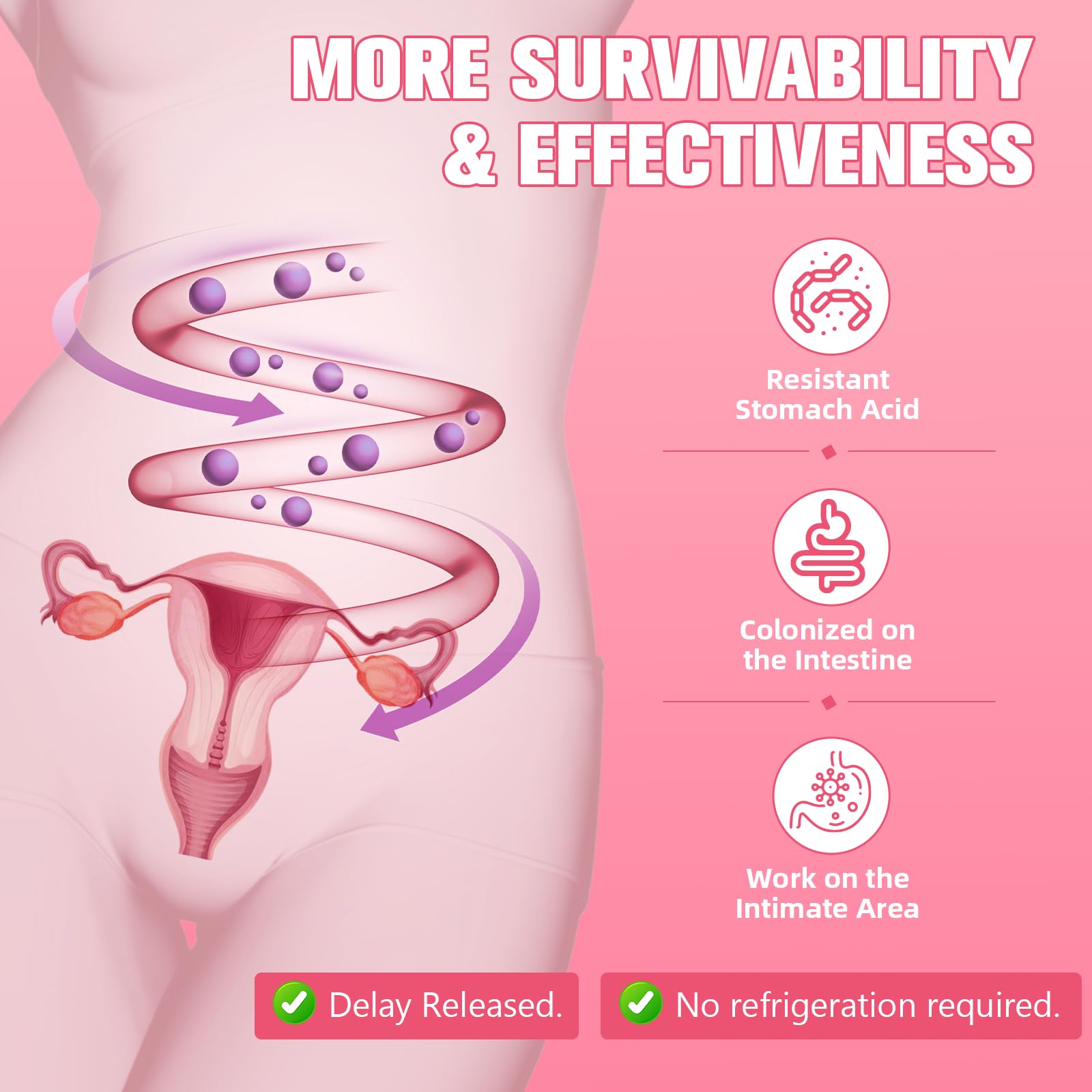 Vegan 40-in-1 Menopause Support Capsules for Women – Hot Flash Relief and Hormone Balance