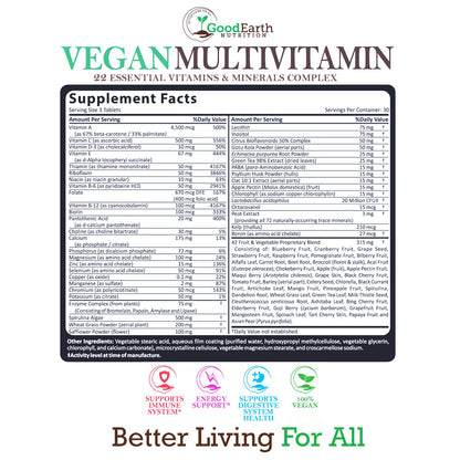 Vegan Daily Multivitamin – A, B, D3, Zinc, Antioxidants – Men & Women