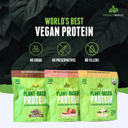 Organic Muscle Vegan Protein Powder - Plant Based Strawberry Multi-Sourced Protein Powder with Pea, Hemp, Brown Rice, Chia Seed & Amino Acids - Low Calorie for Muscle Growth & Speed Recovery