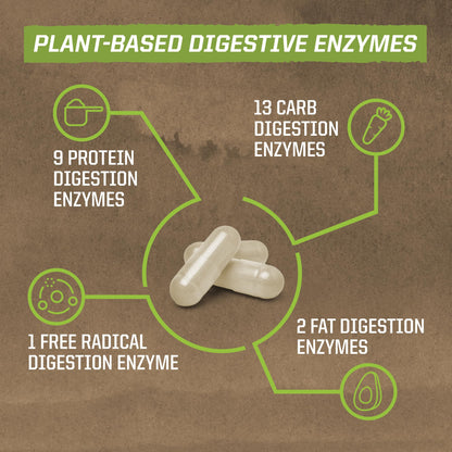 Sunwarrior Enzorb – Vegan Enzymes + Probiotics for Gut & Digestion