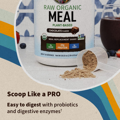 Garden of Life Meal Replacement – Chocolate, Vegan Protein, 28 Servings