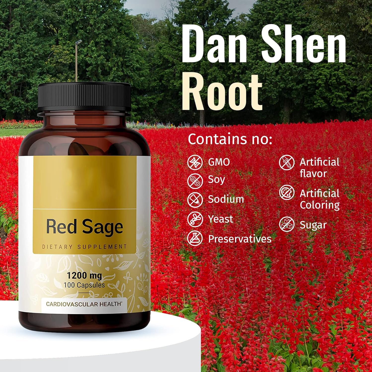 Red Ginseng & Salvia Vegan Capsules
Daily herbal energy & circulation support for focus, stamina & heart health.