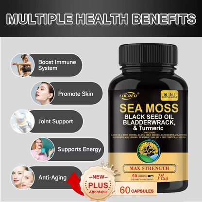 16-in-1 Sea Moss + Black Seed Capsules
Joint, immune & digestive support with turmeric & superfoods.