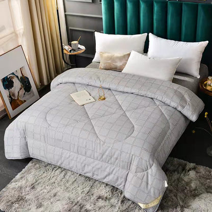 Summer Blanket Thickened Silk Floss Winter Duvet Insert (3)