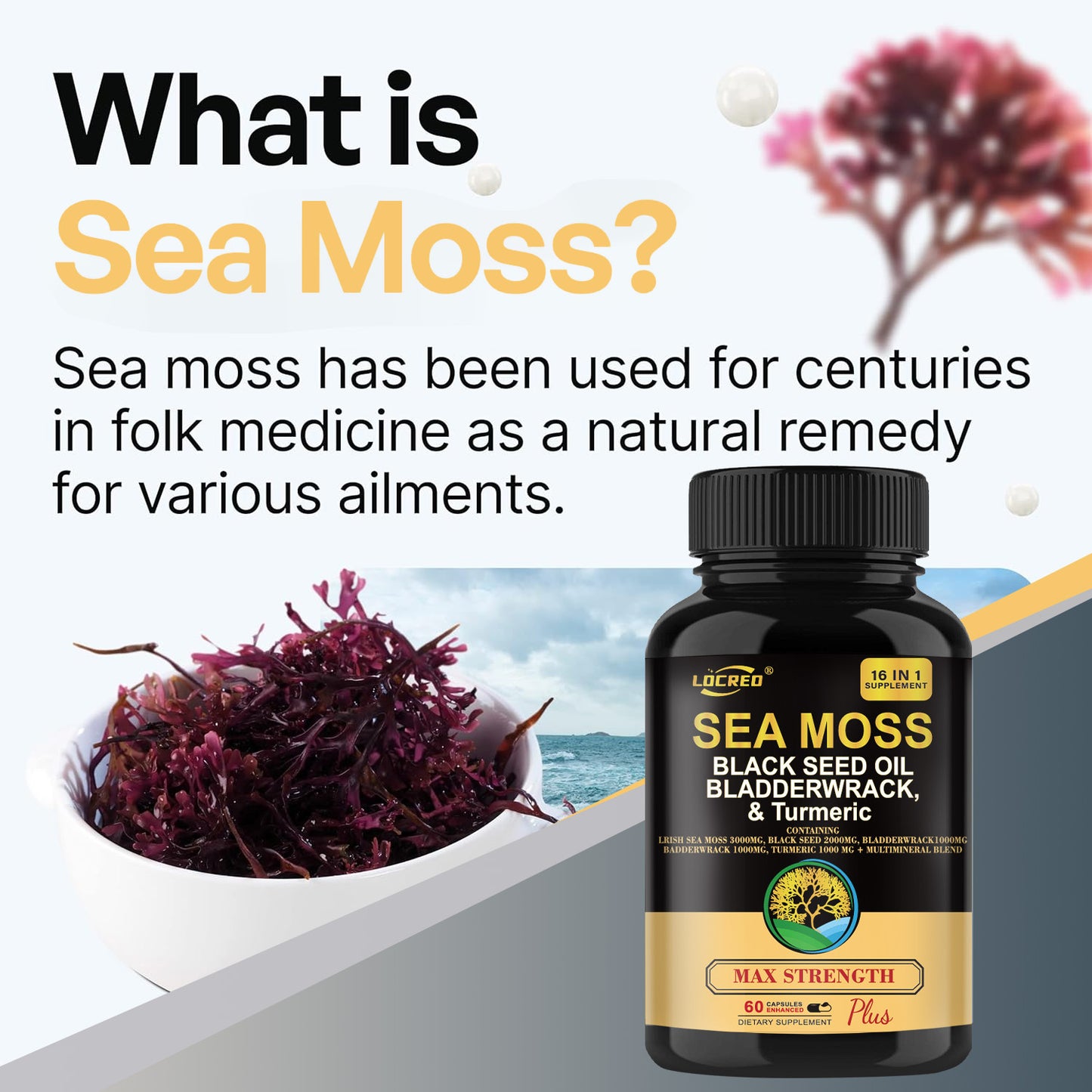 16-in-1 Sea Moss + Black Seed Capsules
Joint, immune & digestive support with turmeric & superfoods.